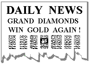 Newspaper